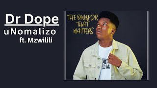 Dr Dope  uNomalizo ft Mzwilili  Official Audio [upl. by Ekal]