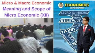 Introduction of Micro amp Macro Economics Meaning amp Scope of Micro Economics12th class XII  HSC [upl. by Enwahs]