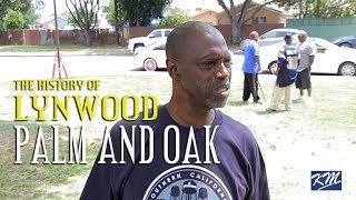 Lynwood Palm and Oak Gangster Crips History [upl. by Ahsiemal]