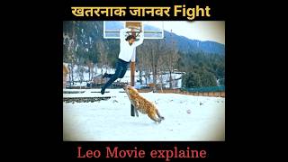 Leo south movie explaine hindi dubbed shorts southmovie movie [upl. by Elleinwad]