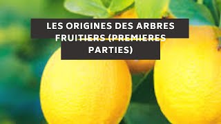 fruitexotique les origines des arbres fruitiers premieres parties [upl. by Eidnahs]