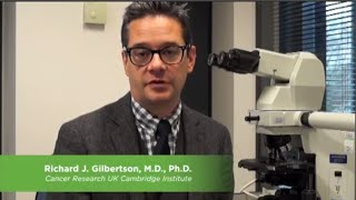 Dr Gilbertson  Targeted Therapies for High Risk Brain Tumors Childrens Cancer Research [upl. by Eceirehs734]