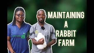 How to Maintain a Rabbit Farm Expert Tips from Ace Rabbit Farms [upl. by Nyleahs]