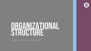 Organizational Structure [upl. by Llezo]