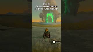 EASY NEW 121 Master Sword UPGRADE Glitch in Tears of the Kingdom [upl. by Tj15]