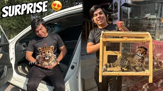 Apna Dream Pet Leopard Ly Aya Me 😍 Surprise 🥳 [upl. by Skolnik398]