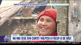 Vulpița atacată dur de propria mamă „Să se ducă la muncă” [upl. by Celina741]