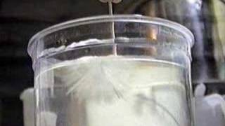 Sodium Sulfate Anhydrous Crystal Growing [upl. by Egnalos71]