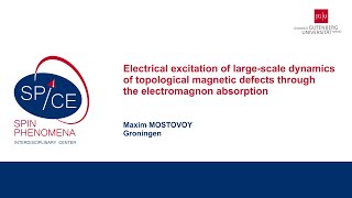 Talks  Spin textures Magnetism meets Plasmonics 2024  Maxim MOSTOVOY Groningen [upl. by Epner890]