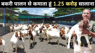 दो भाई इस बकरी फैक्ट्री से कमा रहे हैं मोटा मुनाफा  Goat Farm Tour  Goat Farming [upl. by Atilemrac259]