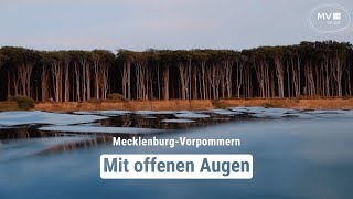 Sehnsucht nach Wasser und Weitblick  MecklenburgVorpommern  Das Urlaubsland [upl. by Kristofor]