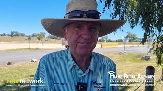 First of the NSW Weaners Sales [upl. by Connie]