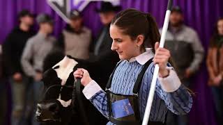 Cattlemens Congress 2023  Steer Show Highlight [upl. by Lubin]