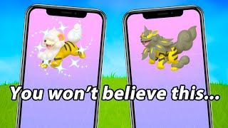 HOW TO CATCH SHINY HISUI GROWLITHE Bad News  Out to Play Event [upl. by Alviani]