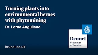 Unlocking the power of phytomining Turning plants into environmental heroes [upl. by Casi]