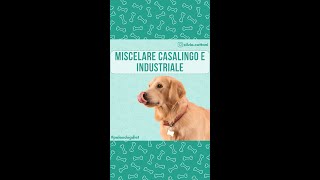 MISCELARE CASALINGO E INDUSTRIALE [upl. by Gratiana57]