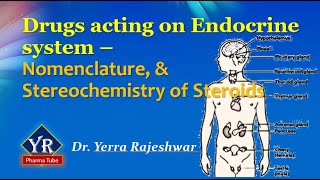 Drugs acting on Endocrine system  Nomenclature amp Stereochemistry of Steroids  R Pharma Tube [upl. by Goda]