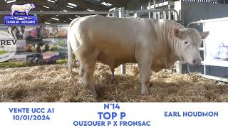 14 TOP P  EARL HOUDMON  OUZOUER P x FRONSAC [upl. by Anrim656]