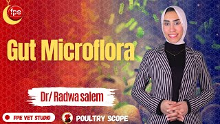 poultry scope ep5  Gut microflora by DrRadwa salem [upl. by Gambrell]