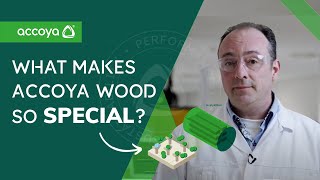 What makes Accoya Wood so special  Accoya Wood [upl. by Nagar524]