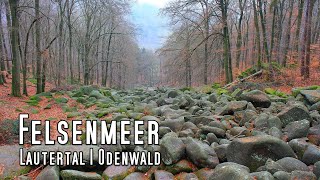 Felsenmeer  4K Video  Lautertal  Reichenbach  Odenwald  Hessen  2021  GoPro [upl. by Rosenberg698]