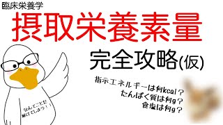 単発解説 6 給与栄養量 完全攻略仮【管理栄養士国家試験対策】 [upl. by Post]