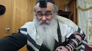 Is wearing a sheitel enough or is it better to use a tichel or mitpachat  Daily Halacha Shiur [upl. by Eiderf]