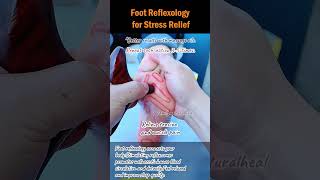 Foot Reflexology for Stress Relief [upl. by Rehpotsyrhc]