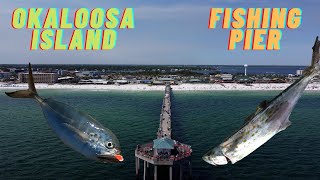 Fishing For Whatever Bites At Okaloosa Island Pier [upl. by Cliffes]