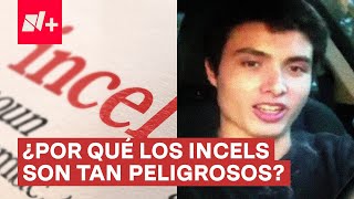 ¿Qué son los INCELS y por qué son tan peligrosos  N [upl. by Almap]