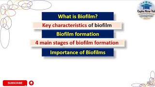 Biofilm  Characteristics  biofilm formation  Stages  Importance  Biofilm microbiology biofilm [upl. by Naliorf]