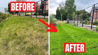 How to RENOVATE your LAWN  kill it off and start from scratch [upl. by Arvin439]