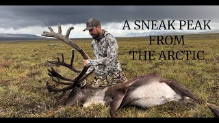 Bow Hunting Alaskan Caribou Hunt  3 Bulls Down [upl. by Sipple]