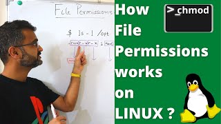 Linux Basics  How to manage file permissions correctly 2022 [upl. by Ahsino683]