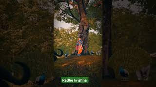 I Finally Understand Krishna and Radhe short trending viral krishnaradhe [upl. by Aiz420]