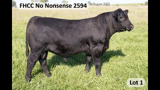 Lot 1 FHCC No Nonsense 2594 [upl. by Notrom]