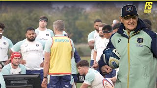 Wallabies get to to work ahead of England clash  Australia Training [upl. by Iuq173]