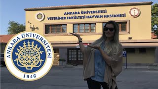 Üniversite Tercihleri  Ankara Üniversitesi Veteriner Fakültesi [upl. by Danila]