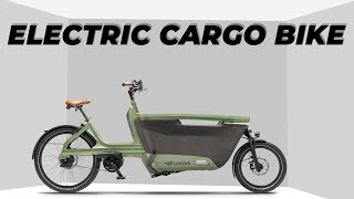 7 Best Electric Cargo Bikes [upl. by Nimoynib]