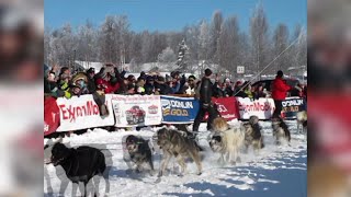 Alaskas Iditarod Trail Sled Dog Race Kicks Off [upl. by Klecka]