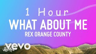 Rex Orange County  What About Me Lyrics  1 HOUR [upl. by Finella606]