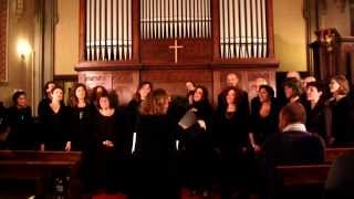 Senti le rane che cantano  Coro Arcanto  KOMOSampCo 2013 [upl. by Pergrim]