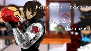 Fandoms React to the Winter Solider  57 [upl. by Ahtinak]