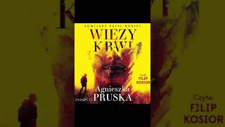 KSIĄŻKA Kryminały po Polsku AudioBook PL 2 🎧 [upl. by Einnhoj]