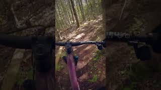 Intro nouvelle Trail de MTB au Sentiers du Moulin Ben Bouchard vidéo 23 mtb sdm velodemontagne [upl. by Idnahc]