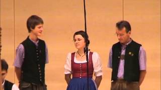 Dumfart Trio Moritz Demer  De Wissenschaft  Punzn Jodler [upl. by Ashford]