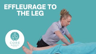 Effleurage Massage to the Leg  Massage Techniques [upl. by Accisej]