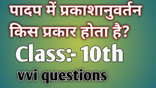 पादप में प्रकाशानुवर्तन किस प्रकार होता है padap me prakash anuvaratan kis prakar hota h [upl. by Jat384]