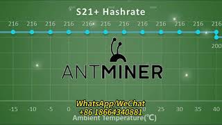 ASIC MINER NEWMINER ANTMINER S21216T ，Receiving preorders [upl. by Guerin682]