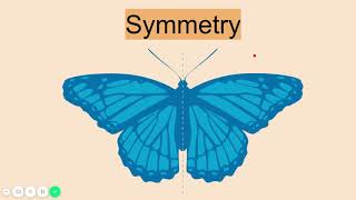 Symmetry Lesson [upl. by Annaiv]